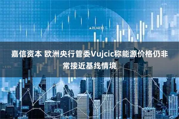嘉信资本 欧洲央行管委Vujcic称能源价格仍非常接近基线情境