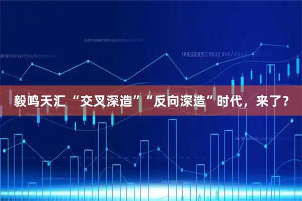 毅鸣天汇 “交叉深造”“反向深造”时代，来了？