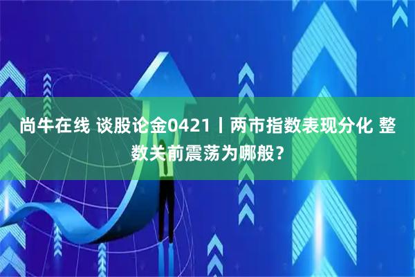 尚牛在线 谈股论金0421丨两市指数表现分化 整数关前震荡为哪般?