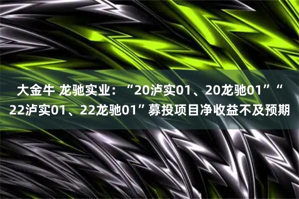 大金牛 龙驰实业：“20泸实01、20龙驰01”“22泸实01、22龙驰01”募投项目净收益不及预期