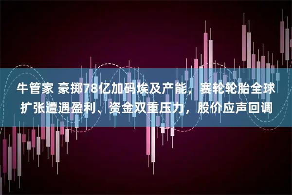 牛管家 豪掷78亿加码埃及产能，赛轮轮胎全球扩张遭遇盈利、资金双重压力，股价应声回调