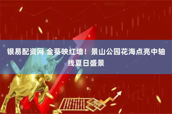 银易配资网 金葵映红墙！景山公园花海点亮中轴线夏日盛景
